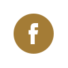 facebook social icon