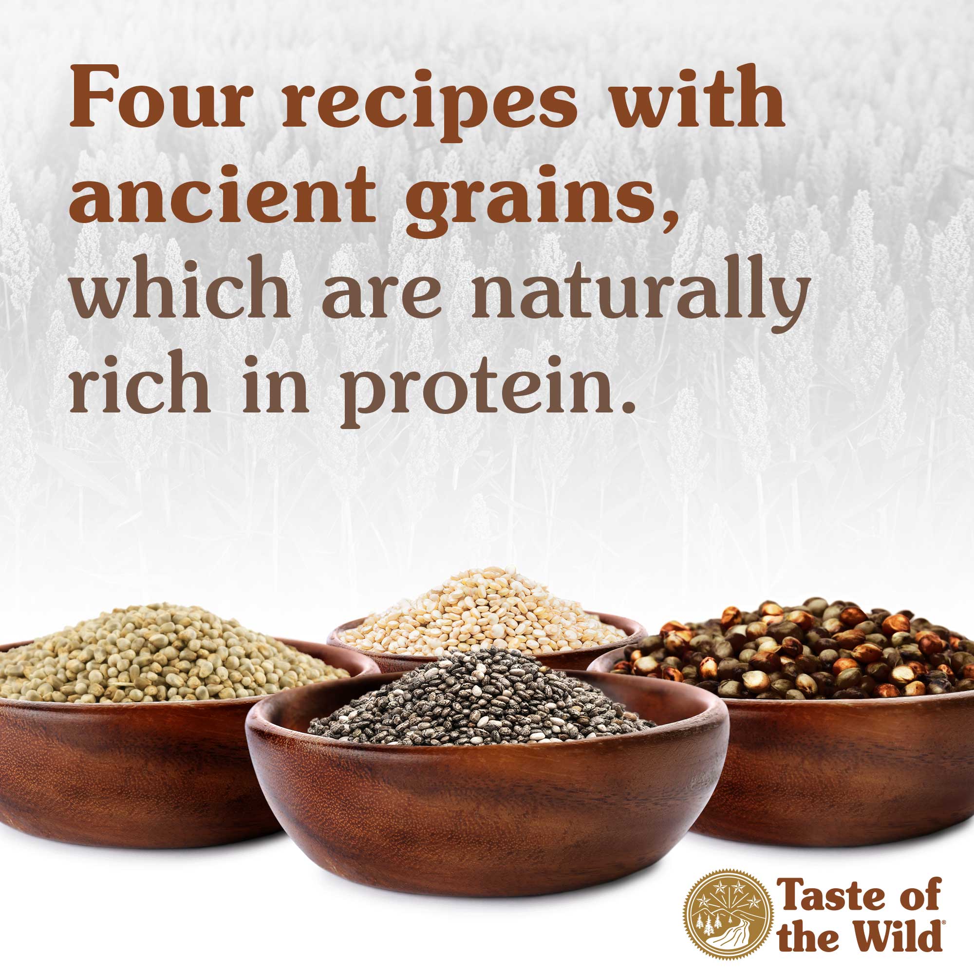 Four recipes with ancient grains, which are naturally rich in protein.
