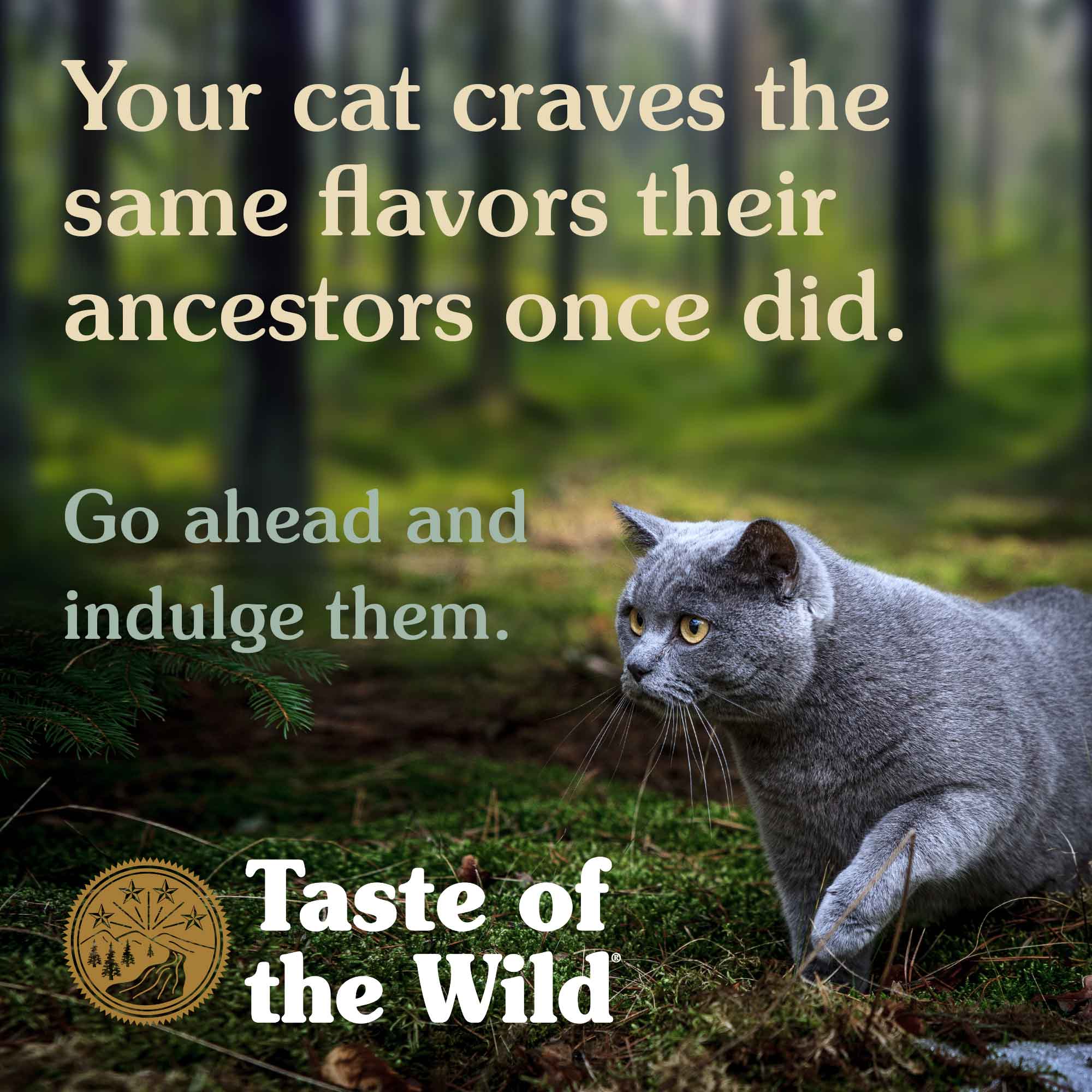 Your cat craves the same flavors their ancestors once did.