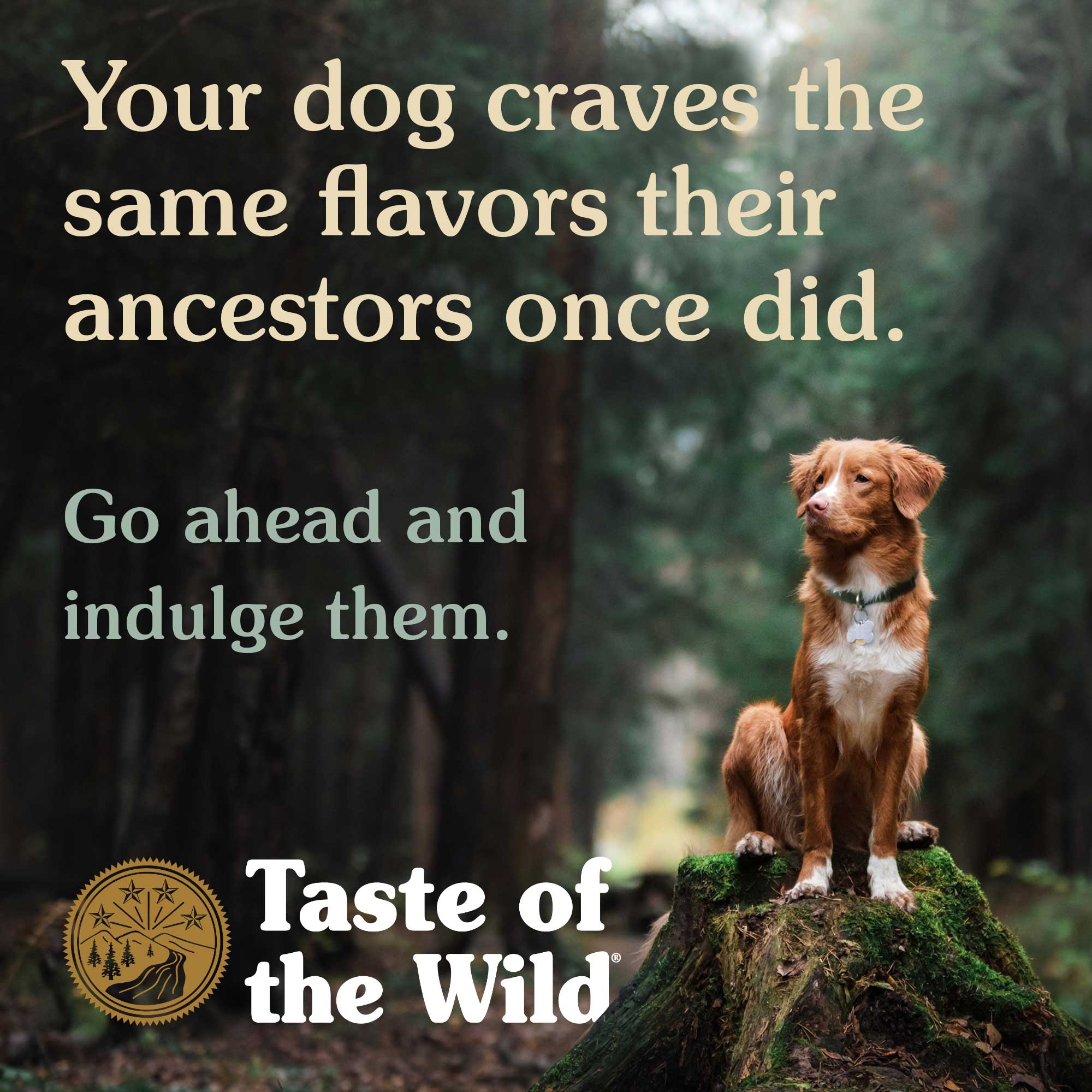 Your dog craves the same flavors their ancestors once did.