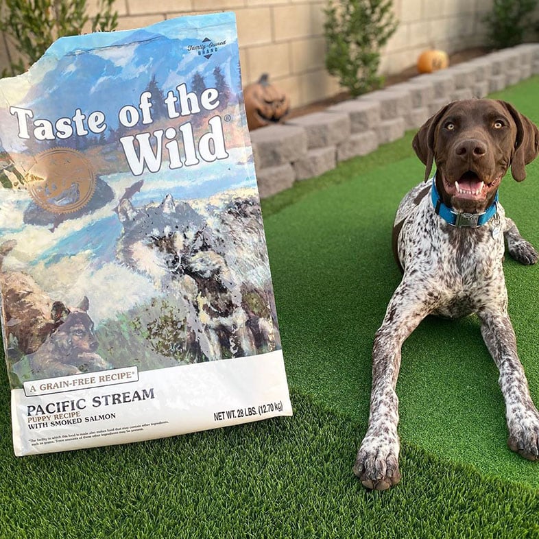 Dog Sitting Next to Taste of the Wild Dog Food Bag | Taste of the Wild